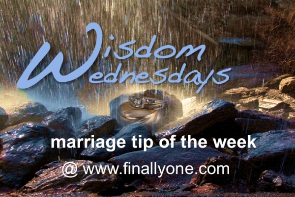 Wisdom Wednesdays Final Logo
